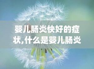 婴儿肠炎快好的症状,什么是婴儿肠炎