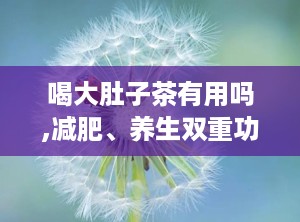 喝大肚子茶有用吗,减肥、养生双重功效实证