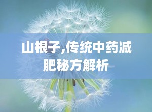 山根子,传统中药减肥秘方解析