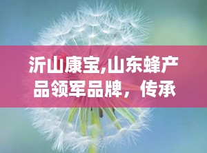 沂山康宝,山东蜂产品领军品牌，传承与创新并重