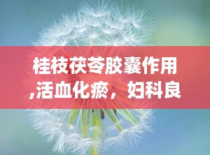 桂枝茯苓胶囊作用,活血化瘀，妇科良药功效解析
