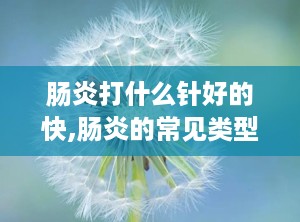 肠炎打什么针好的快,肠炎的常见类型