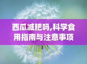 西瓜减肥吗,科学食用指南与注意事项”