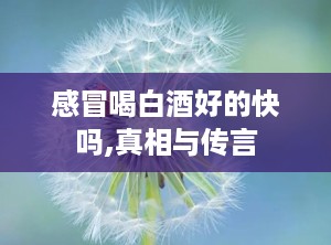 感冒喝白酒好的快吗,真相与传言