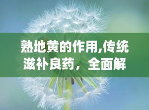 熟地黄的作用,传统滋补良药，全面解析其功效与作用”