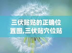 三伏贴贴的正确位置图,三伏贴穴位贴敷位置全解析
