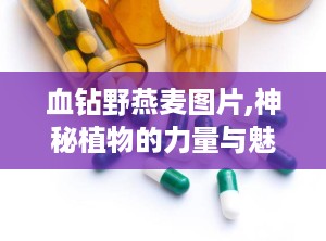 血钻野燕麦图片,神秘植物的力量与魅力揭秘