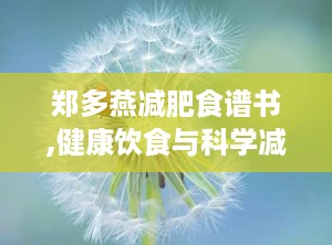 郑多燕减肥食谱书,健康饮食与科学减肥的完美结合