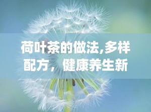荷叶茶的做法,多样配方，健康养生新选择