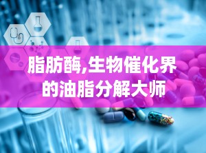 脂肪酶,生物催化界的油脂分解大师