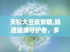 天松大豆低聚糖,肠道健康守护者，多重功效助力健康生活”