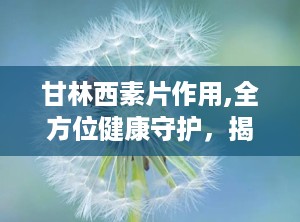 甘林西素片作用,全方位健康守护，揭秘其神奇功效与适用人群”