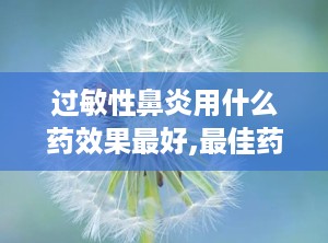 过敏性鼻炎用什么药效果最好,最佳药物选择与使用建议