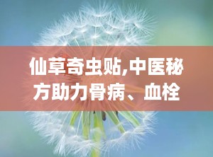仙草奇虫贴,中医秘方助力骨病、血栓疾病康复之路”