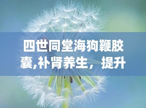 四世同堂海狗鞭胶囊,补肾养生，提升男性健康与活力的天然选择”