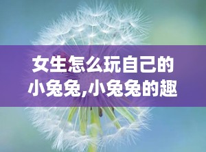 女生怎么玩自己的小兔兔,小兔兔的趣味玩法全解析