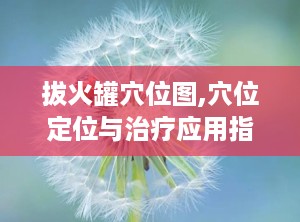 拔火罐穴位图,穴位定位与治疗应用指南