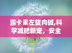 露卡素左旋肉碱,科学减肥新宠，安全高效减脂之道”