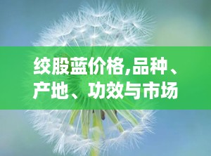 绞股蓝价格,品种、产地、功效与市场行情一览”