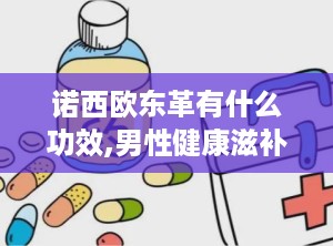 诺西欧东革有什么功效,男性健康滋补新选择