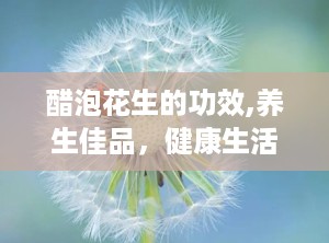 醋泡花生的功效,养生佳品，健康生活必备”