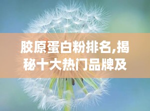 胶原蛋白粉排名,揭秘十大热门品牌及选购指南