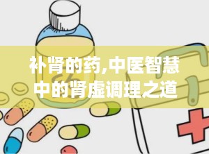 补肾的药,中医智慧中的肾虚调理之道”