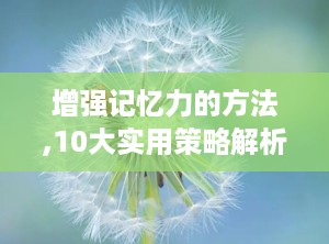 增强记忆力的方法,10大实用策略解析”