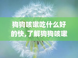 狗狗咳嗽吃什么好的快,了解狗狗咳嗽的原因