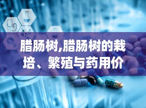 腊肠树,腊肠树的栽培、繁殖与药用价值探析