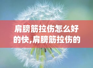 肩膀筋拉伤怎么好的快,肩膀筋拉伤的快速康复指南