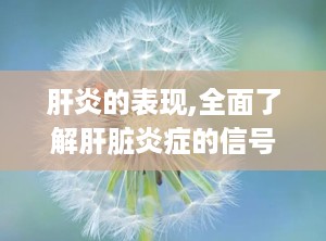 肝炎的表现,全面了解肝脏炎症的信号