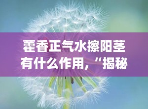 藿香正气水擦阳茎有什么作用,“揭秘藿香正气水擦阳茎的真相与误区”