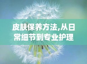 皮肤保养方法,从日常细节到专业护理