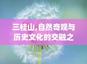 三桂山,自然奇观与历史文化的交融之地