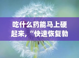 吃什么药能马上硬起来,“快速恢复勃起功能的药物概述与使用指南”