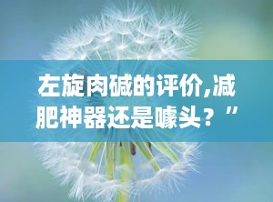 左旋肉碱的评价,减肥神器还是噱头？”