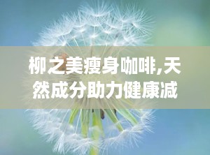 柳之美瘦身咖啡,天然成分助力健康减肥新选择