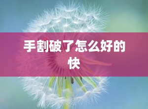手割破了怎么好的快