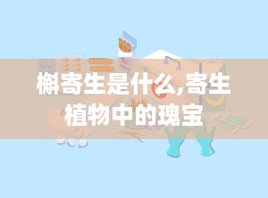 槲寄生是什么,寄生植物中的瑰宝