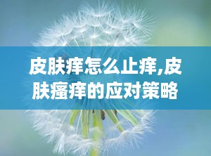 皮肤痒怎么止痒,皮肤瘙痒的应对策略与止痒方法”