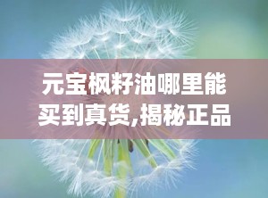 元宝枫籽油哪里能买到真货,揭秘正品元宝枫籽油购买指南