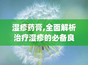 湿疹药膏,全面解析治疗湿疹的必备良药