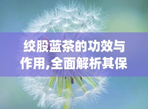 绞股蓝茶的功效与作用,全面解析其保健功效与饮用指南