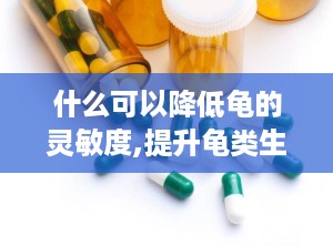 什么可以降低龟的灵敏度,提升龟类生活质量的秘籍