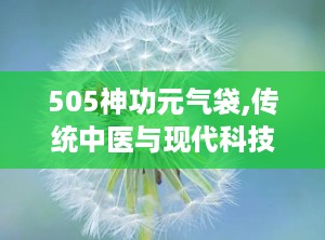 505神功元气袋,传统中医与现代科技的结合，养生保健新选择