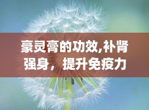豪灵膏的功效,补肾强身，提升免疫力，缓解疲劳的天然良方”