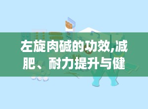 左旋肉碱的功效,减肥、耐力提升与健康益处的多功能营养补充剂”