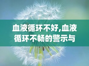 血液循环不好,血液循环不畅的警示与应对策略