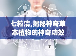 七粒清,揭秘神奇草本植物的神奇功效与养生之道